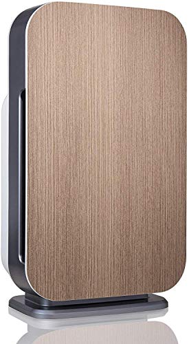 Air Purifier for Allergies: Alen BreatheSmart Flex HEPA
