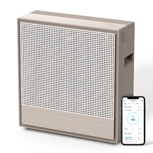 Air Purifier for Allergies: Coway 250S for Large Rooms