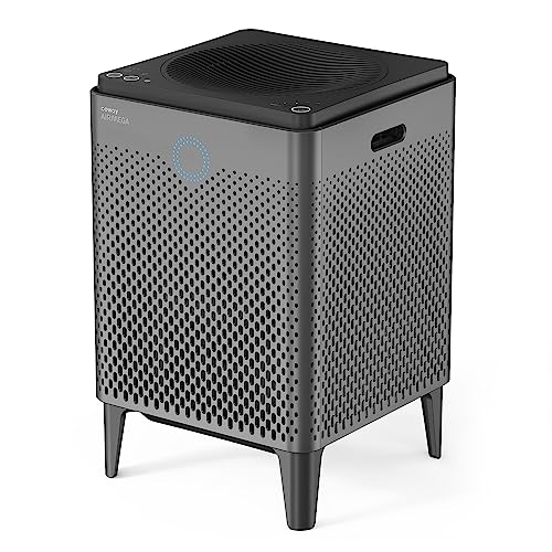 Air Purifier for Allergies: Coway Large Room HEPA Filters