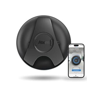 Air Purifier for Allergies: IQAir Atem Car HEPA Filter