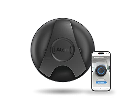 Air Purifier for Allergies: IQAir Atem Car HEPA Filter