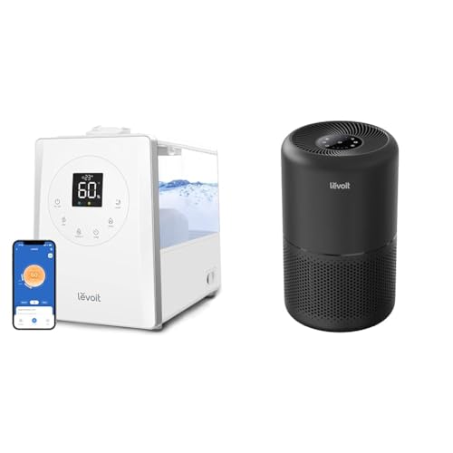 Air Purifier for Allergies: LEVOIT LV600S Humidifier and Purifier