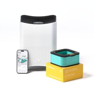 Air Purifier for Allergies: Mila Air Mini with HEPA Filter
