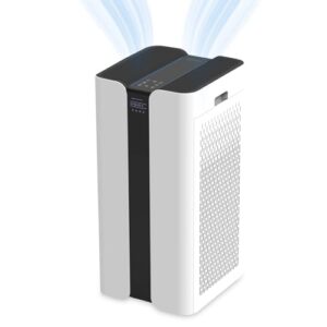Air Purifier for Cat Allergies – HEPA Filter, 600 CFM, 3000 sqft