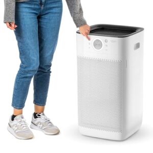 Air Purifier for Cat Allergies: HEPA Filter, Large Coverage