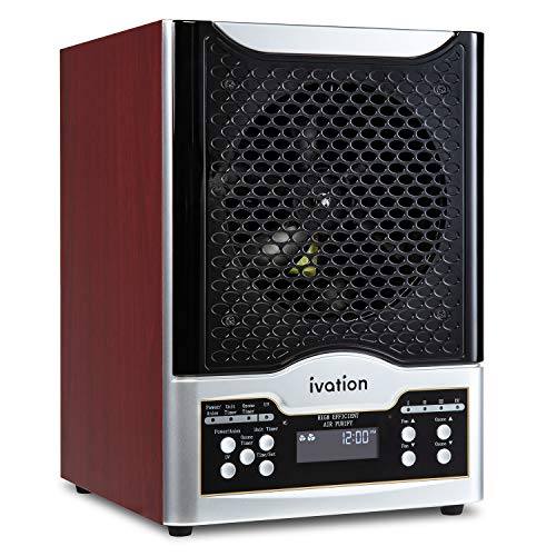 Air Purifier for Cat Allergies: HEPA, Ozone & Remote Control