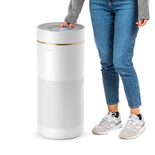 Air Purifier for Cat Allergies: IRIS USA WOOZOO True HEPA