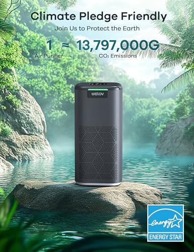 Air Purifier for Cat Allergies – H13 HEPA 99.997% Efficiency - Image 2