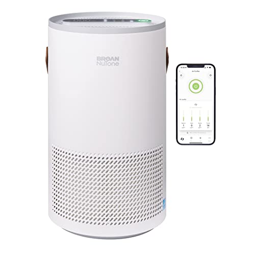 Air Purifier for Dust: Broan-NuTone BNAP-100 with True HEPA