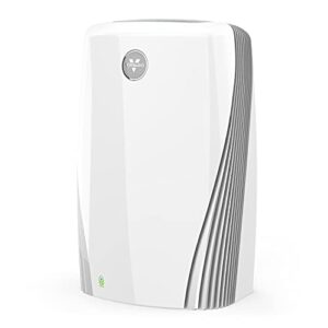 Air Purifier for Dust: Vornado PCO575DC with True HEPA