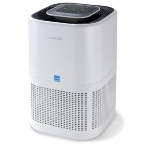 Air Purifier for Hayfever: Aurora AR100W for Allergens