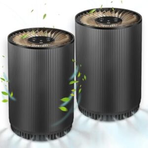 Air Purifier for Hayfever: Druiap H13 HEPA Set for Home Air Purifier for Hayfever: Druiap H13 HEPA Set for Home