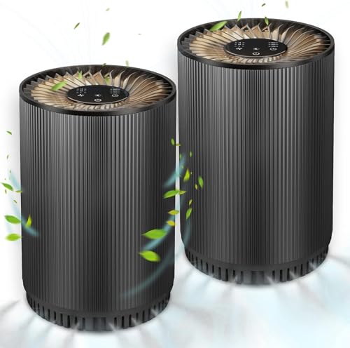 Air Purifier for Hayfever: Druiap H13 HEPA Set for Home