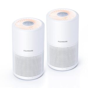 Air Purifier for Hayfever | FULMINARE H13 HEPA 2 Pack
