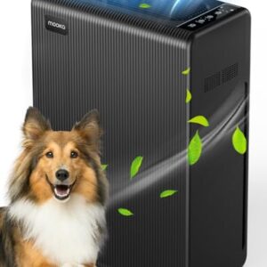 Air Purifier for Hayfever: H13 HEPA for Large Rooms Air Purifier for Hayfever: H13 HEPA for Large Rooms