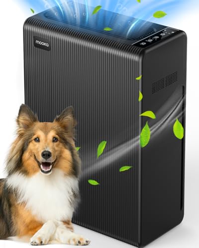 Air Purifier for Hayfever: H13 HEPA for Large Rooms