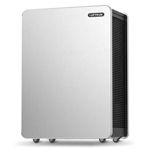 Air Purifier for Hayfever: HEPA Filter for Allergies & Pets