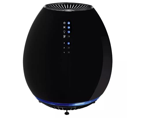 Air Purifier for Hayfever: Holmes® HEPA Small Room Model