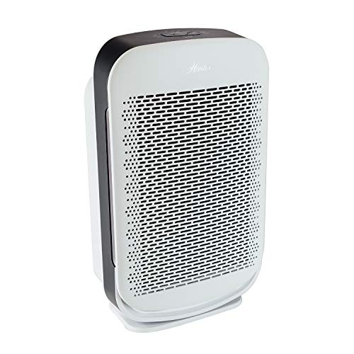 Air Purifier for Hayfever: Hunter HP700 Console for Large Rooms