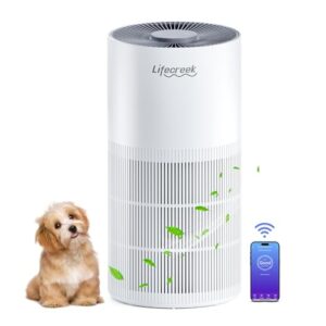 Air Purifier for Hayfever: Lifecreek HEPA for Large Rooms Air Purifier for Hayfever: Lifecreek HEPA for Large Rooms