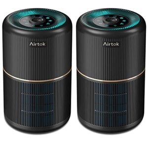 Air Purifier for Hayfever Relief – AIRTOK 2 Pack 376 sqft Air Purifier for Hayfever Relief – AIRTOK 2 Pack 376 sqft