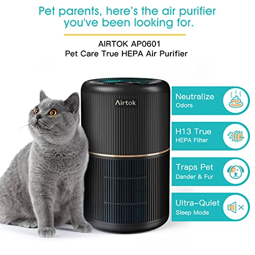 Air Purifier for Hayfever Relief - AIRTOK 2 Pack 376 sqft - Image 2