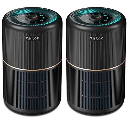 Air Purifier for Hayfever Relief - AIRTOK 2 Pack 376 sqft
