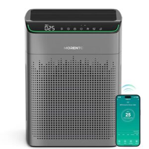 Air Purifier for Hayfever Relief, Large Room, HEPA Filter