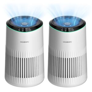 Air Purifier for Hayfever Relief – MORNTO 2 Pack MR2566