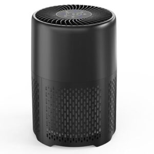 Air Purifier for Hayfever Relief in Large Rooms & Bedrooms Air Purifier for Hayfever Relief in Large Rooms & Bedrooms