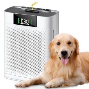 Air Purifier for Hayfever Relief in Large Rooms Up to 1076 Sq. Ft. Air Purifier for Hayfever Relief in Large Rooms Up to 1076 Sq. Ft.