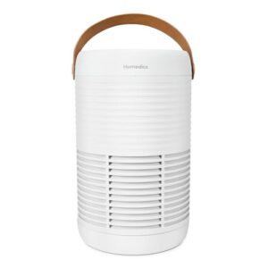 Air Purifier for Hayfever: True HEPA & Carbon Filter, 975 Sq Ft