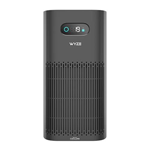 Air Purifier for Hayfever: Wyze with Formaldehyde Filter
