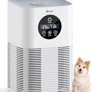 Air Purifier for Hayfever in Large Rooms up to 600 Ft² Air Purifier for Hayfever in Large Rooms up to 600 Ft²