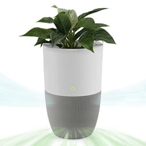 Air Purifier for Home | Dupray Bloom™ with Planter Design Air Purifier for Home | Dupray Bloom™ with Planter Design