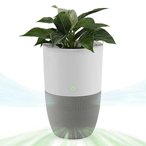 Air Purifier for Home | Dupray Bloom™ with Planter Design