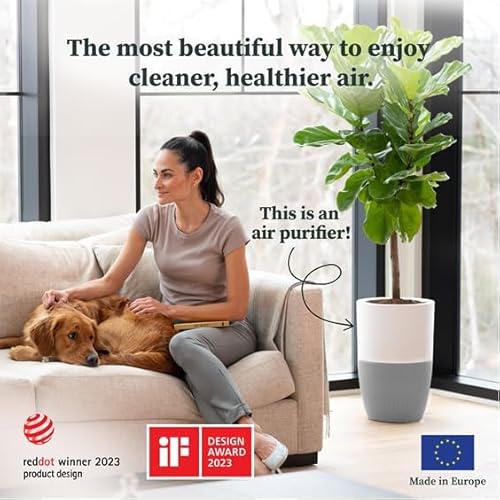 Air Purifier for Home | Dupray Bloom™ with Planter Design - Image 2