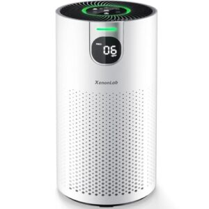 Air Purifier for Large Room: HEPA, 360° Intake, Quiet Mode