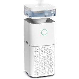Air Purifier for Large Room: KISSAIR Combo & HEPA Filter
