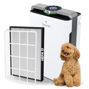 Air Purifier for Large Room – Turonic PH950 Combo Device Air Purifier for Large Room – Turonic PH950 Combo Device