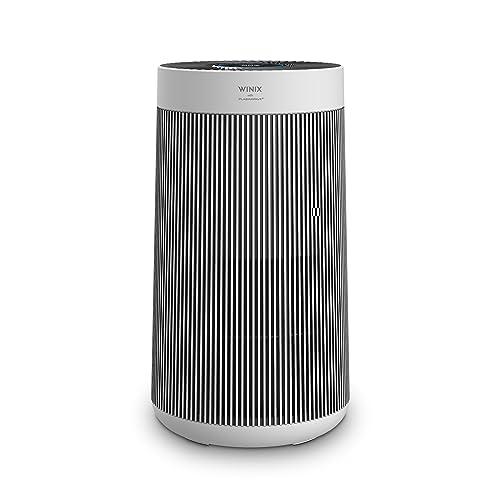 Air Purifier for Large Room - Winix T810 with True HEPA - Image 2