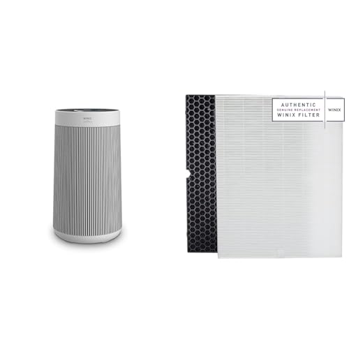 Air Purifier for Large Room - Winix T810 with True HEPA