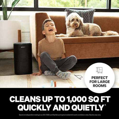 Air Purifier for Large Room – PuroAir 240 & HEPA Filters - Image 2