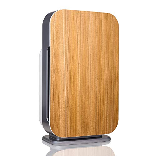 Air Purifier for Mold - Alen BreatheSmart Flex HEPA 1400 Sq. Ft.
