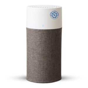 Air Purifier for Mold: BLUEAIR Bedroom Cleaner for Allergens