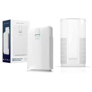 Air Purifier for Mold: HATHASPACE 1500 sqft Harmony Model Air Purifier for Mold: HATHASPACE 1500 sqft Harmony Model