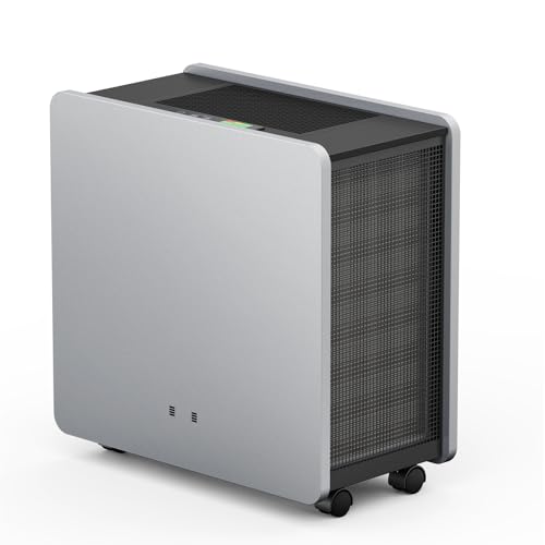 Air Purifier for Mold: HEPA Filter - 4125 Sq Ft Coverage