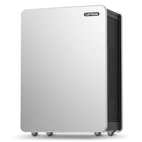 Air Purifier for Mold: HEPA Filter for Large Rooms, 99.9% Clean