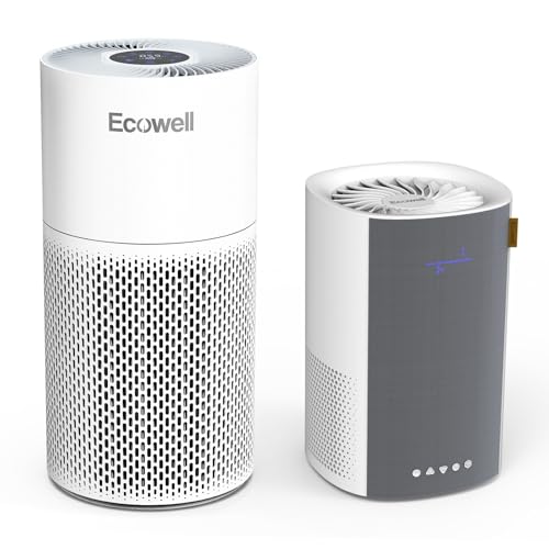 Air Purifier for Smoke & Allergies: ECOWELL H13 HEPA Bundle