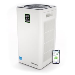 Air Purifier for Smoke: Kenmore PM4030 H13 HEPA Filter Air Purifier for Smoke: Kenmore PM4030 H13 HEPA Filter